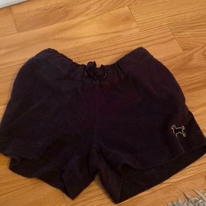 Black dog shorts